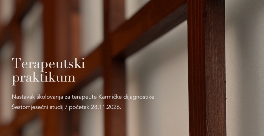 Terapeutski praktikum